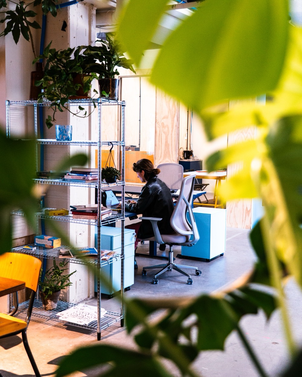 Iemand aan het werk aan een bureau bij Dees, tussen planten en boekenkasten.